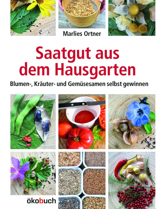 Saatgut aus dem Hausgarten - Marlies Ortner - ökobuch Verlag